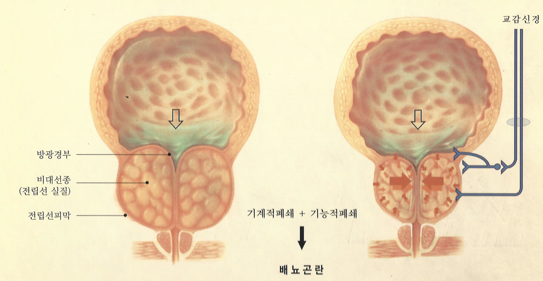 원본 원고 그림 4: 대체 설명 검토 필요
