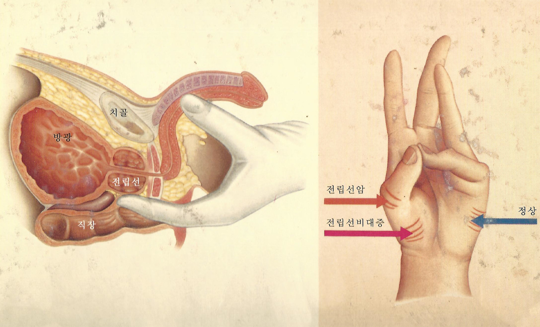 원본 원고 그림 2: 대체 설명 검토 필요