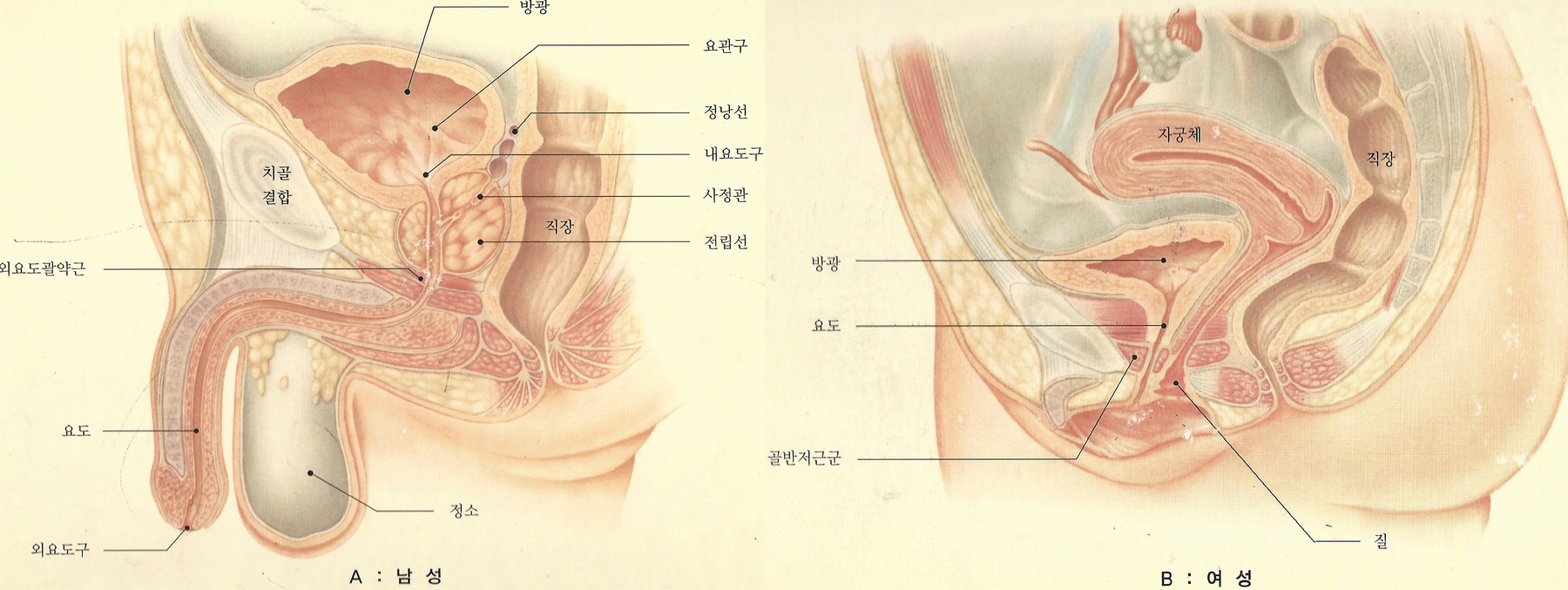 원본 원고 그림 2: 대체 설명 검토 필요
