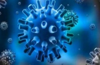 단순포진바이러스 (Herpes simplex virus)