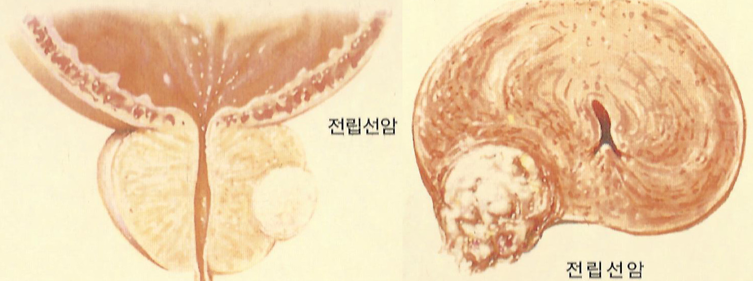 원본 원고 그림 1: 대체 설명 검토 필요