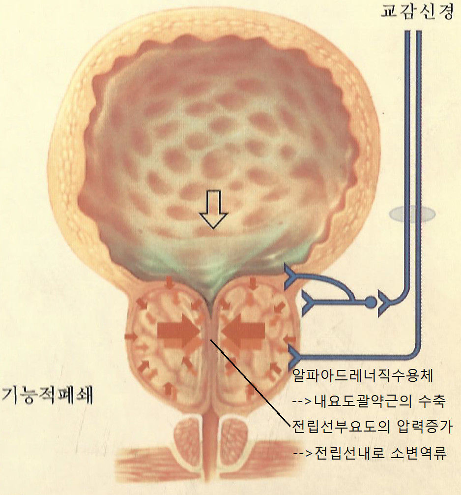 원본 원고 그림 1: 대체 설명 검토 필요