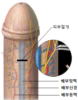 원본 원고 그림 9: 대체 설명 검토 필요