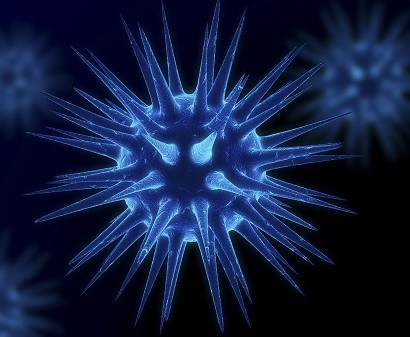 거대세포바이러스 (Cytomegalovirus)